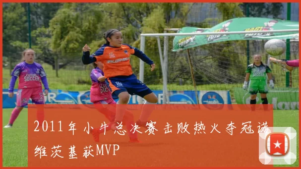 2011年小牛总决赛击败热火夺冠诺维茨基获MVP