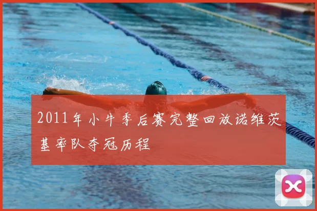 2011年小牛季后赛完整回放诺维茨基率队夺冠历程