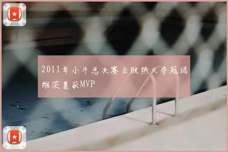 2011年小牛总决赛击败热火夺冠诺维茨基获MVP