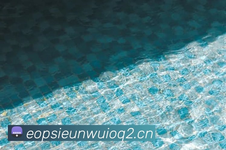 压球首页平台生态图